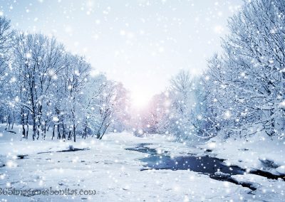 Arboles con nieve y un rio