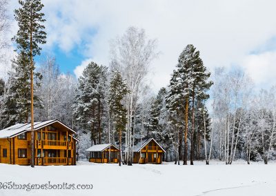 Casas nevadas en el bosque