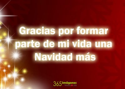 Gracias por formar parte de mi vida una Navidad más