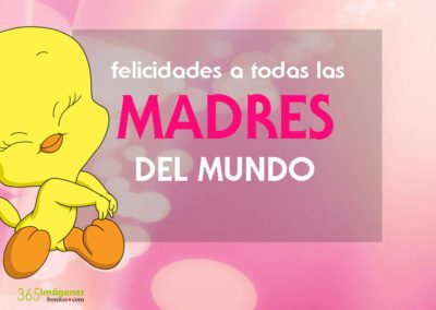 felicidades a todas las madres del mundo