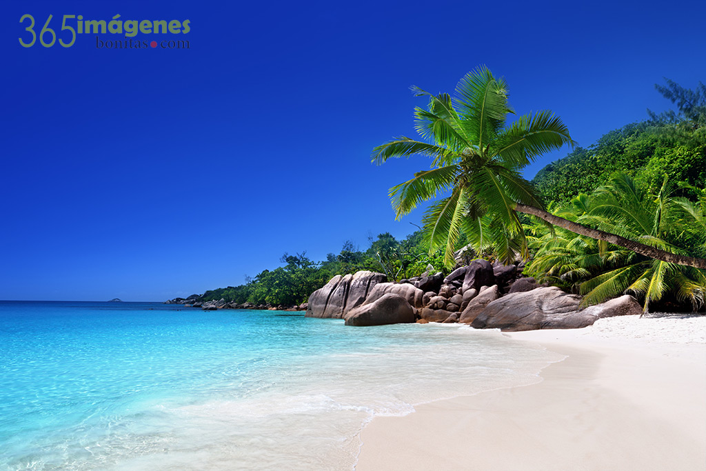 Playa en praslin island