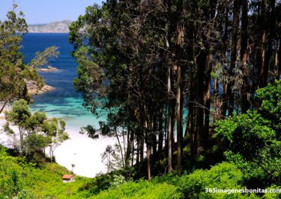 Playa de Figueiras en Islas Cíes