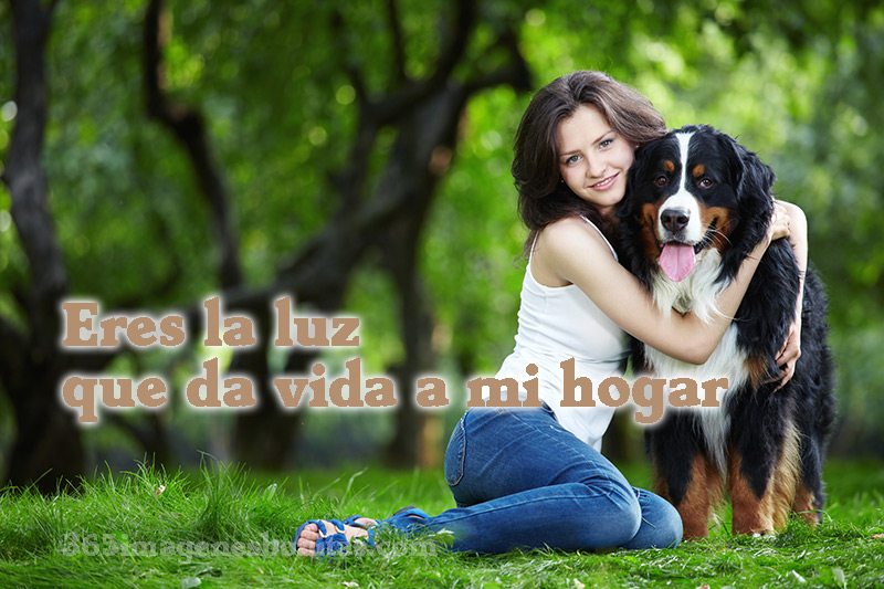 Eres la luz que da vida a mi hogar Eres la luz que da vida a mi hogar
