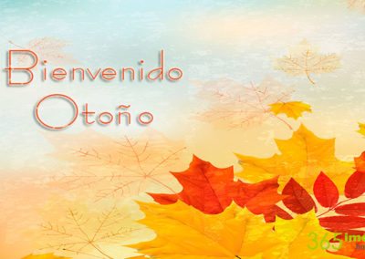 Bienvenido otoño