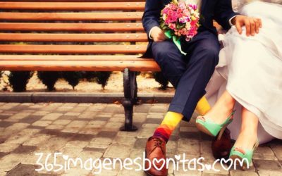 ¿Cómo conquistar a tu pareja? El proceso