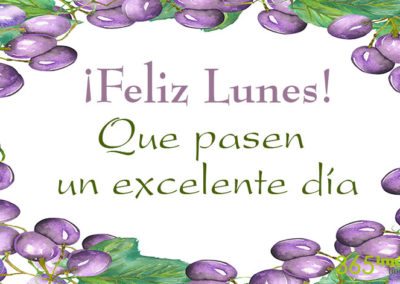 Excelente lunes