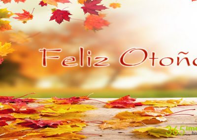 Imágenes de otoño: Feliz otoño