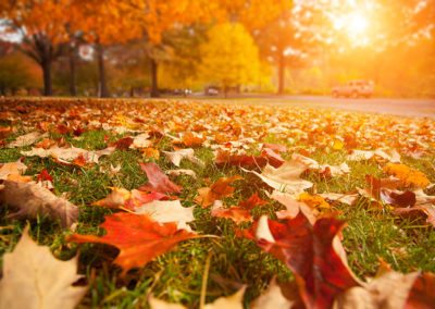 Imágenes de otoño para compartir
