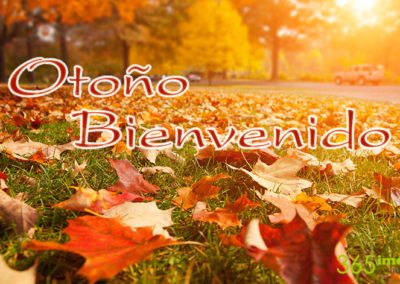 Otoño bienvenido