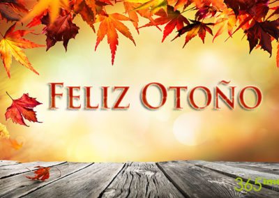 Les deseamos un feliz otoño