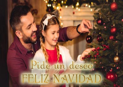 Deseo feliz navidad