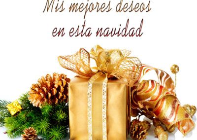 En navidad mis mejores deseos