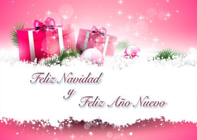 Feliz navidad y año nuevo