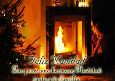 Arbol de Navidad, Hermosa navidad junto a tu familia