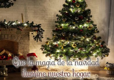 Arbol de navidad, que la navidad ilumine nuestro hogar