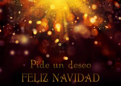 Pide un deseo, feliz Navidad