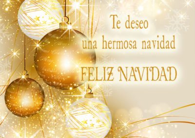 Te deseo hermosa navidad