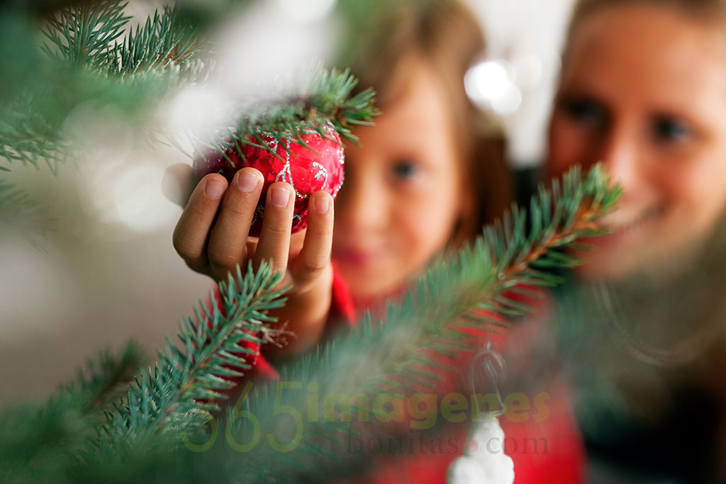 Tradiciones familiares el árbol de navidad