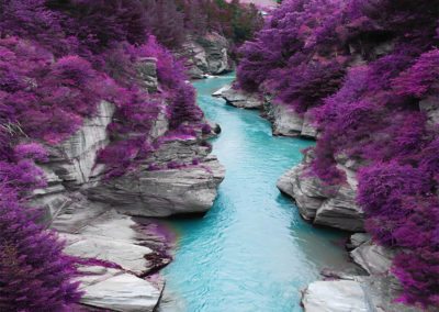 Bosque purpura y rio azul