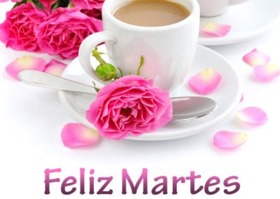 Feliz martes 2