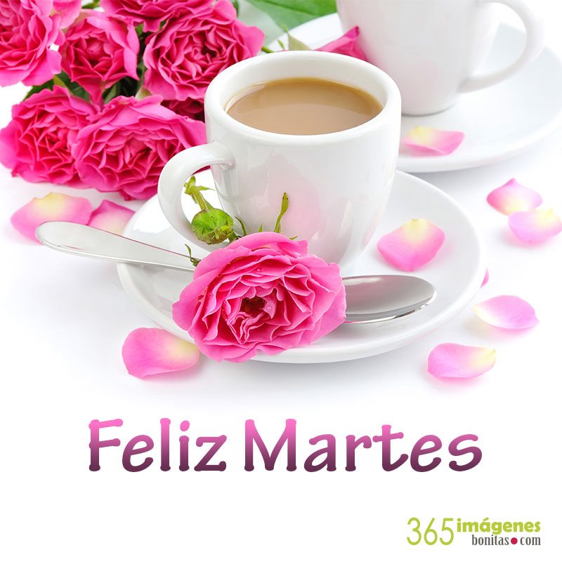buenos dias feliz martes positivo Imágenes IMÁGENES DE MARTES y frases bonitas ¡INCREÍBLES!【julio