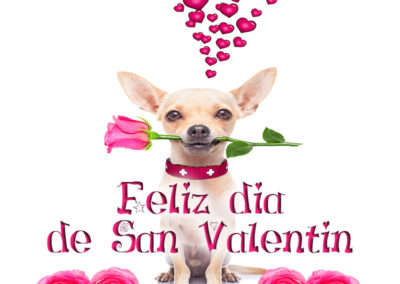 feliz dia de san valentin