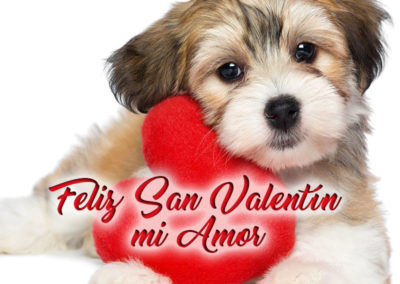 feliz san valentin