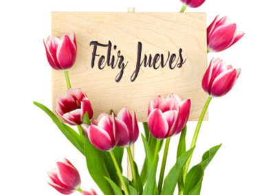 feliz jueves con rosas