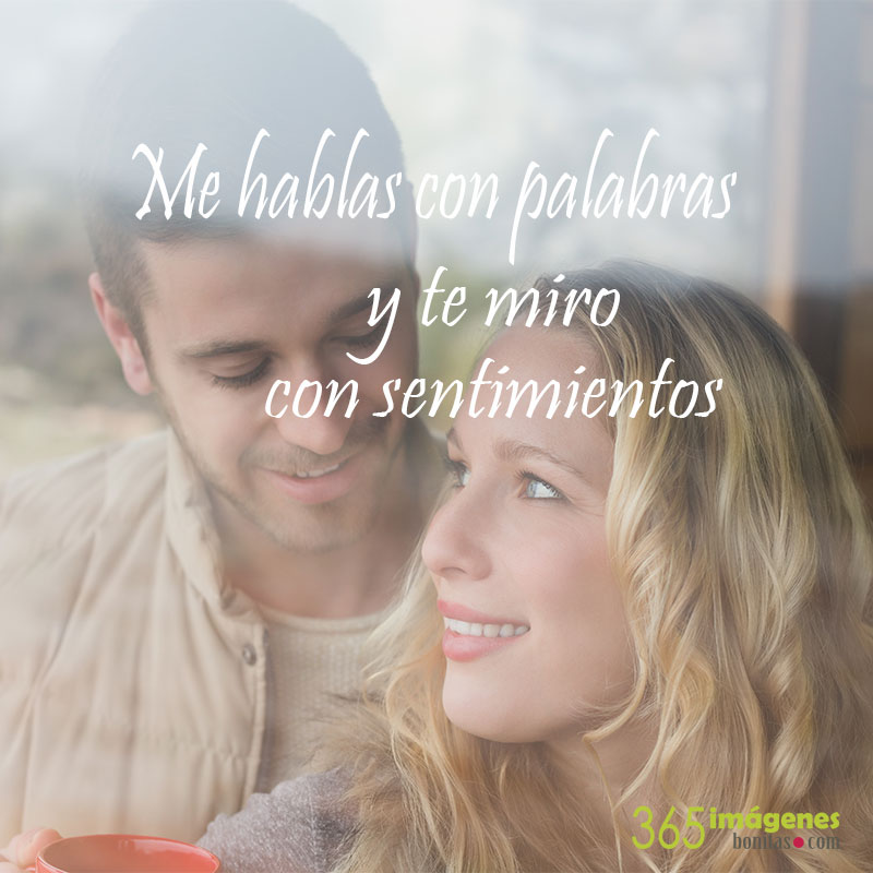 amor y sentimientos