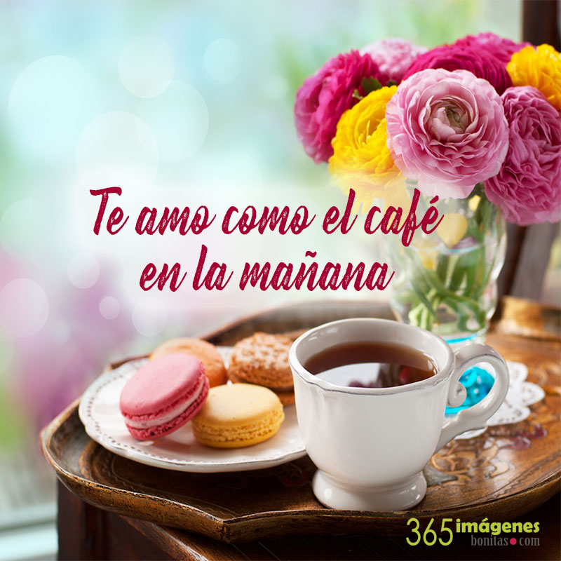 Te amo como el café en la mañana.