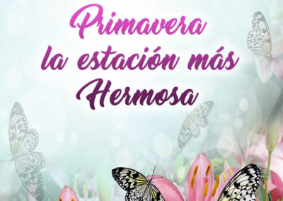 imagenes bonitas de primavera