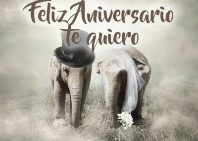 imágenes para aniversario