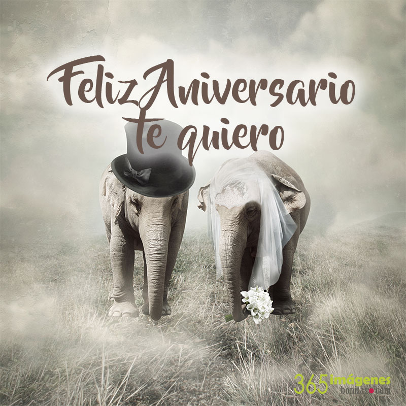 Featured image of post Frases De Aniversario De Casados 30 Años