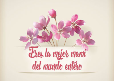 imagenes bellas para mi madre