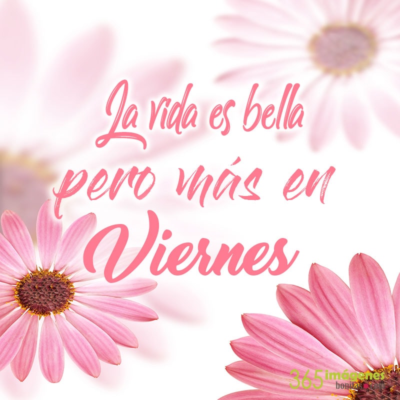 IMÁGENES DE BUENOS DÍAS VIERNES y saludos 【julio viernes flores IMÁGENES DE BUENOS DÍAS VIERNES y saludos 【julio