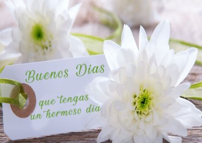 imágenes con flores de buenos días