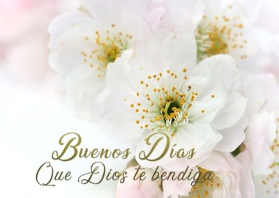 imágenes de buenos días con flores blancas