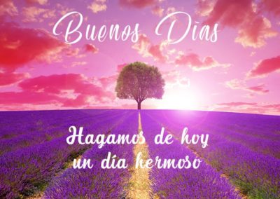 imágenes de buenos días con flores de lavanda