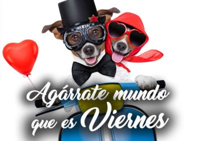 imágenes de viernes graciosas