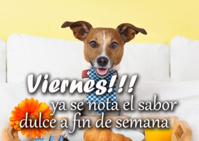 imágenes feliz viernes chistosas