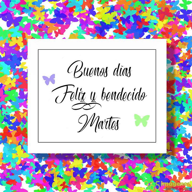 buenos dias feliz martes positivo Imágenes IMÁGENES DE MARTES y frases bonitas ¡INCREÍBLES!【julio