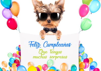 imagenes graciosas de cumpleaños